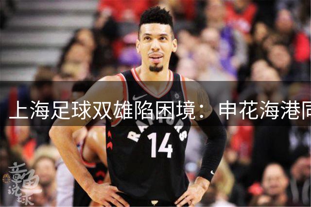 上海足球双雄陷困境：申花海港同积19分保级危机浮现