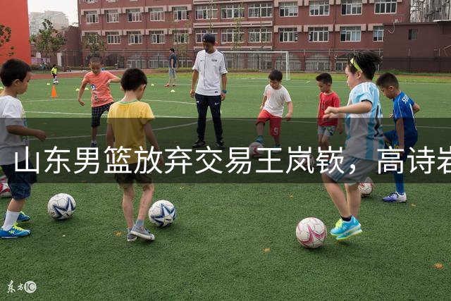 山东男篮放弃交易王岚嵚，高诗岩成谈判关键绊脚石