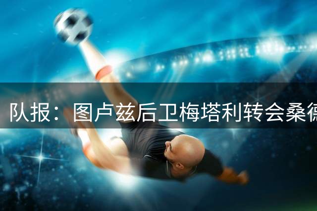 队报：图卢兹后卫梅塔利转会桑德兰受阻，球员体检时发现背部问题