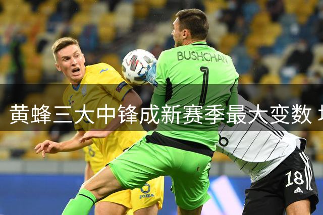 黄蜂三大中锋成新赛季最大变数 均衡发挥成制胜关键